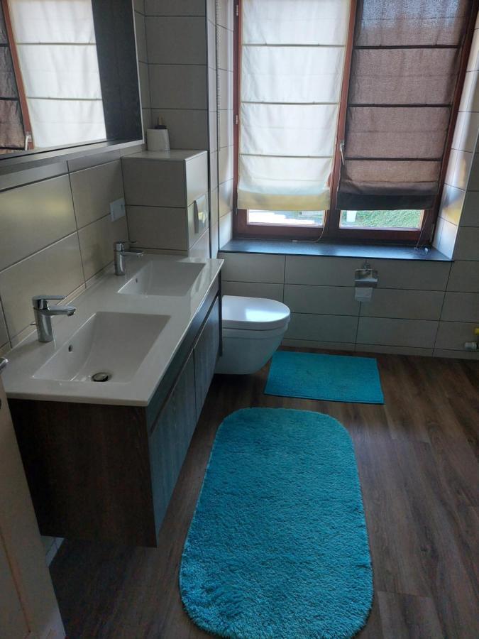Le Reposoir Maison Spacieuse Avec Feu Au Bois Bertogne Exterior foto